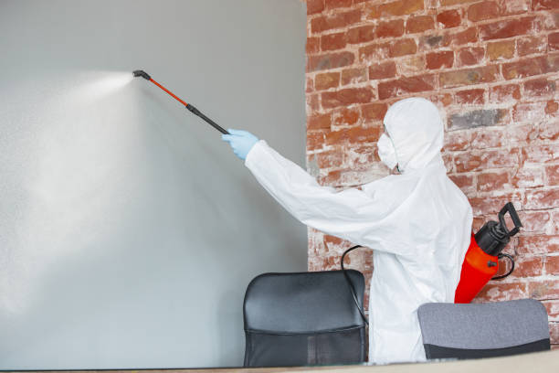 Best Comprehensive Air Testing for Mold Contaminants  in Congress, AZ