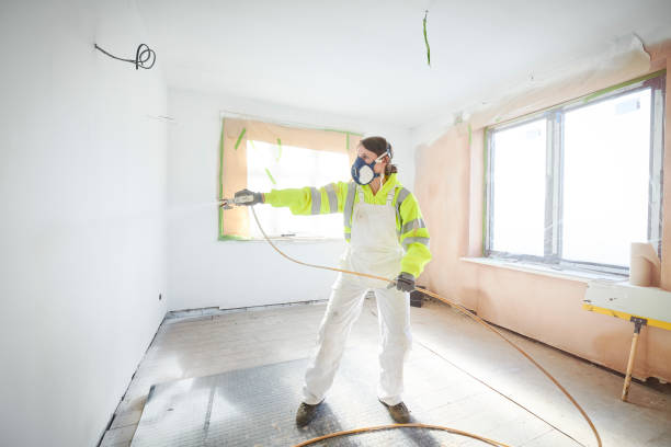 Best Basement Mold Removal  in Congress, AZ