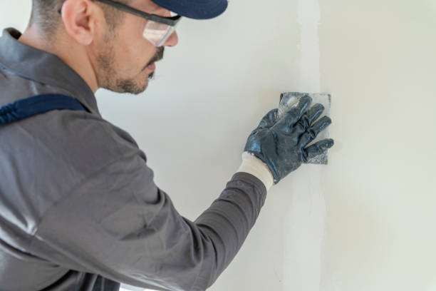 Best Water Damage & Mold Remediation  in Congress, AZ