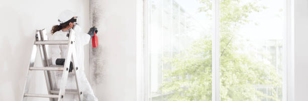 Best Residential Mold Inspection & Testing  in Congress, AZ