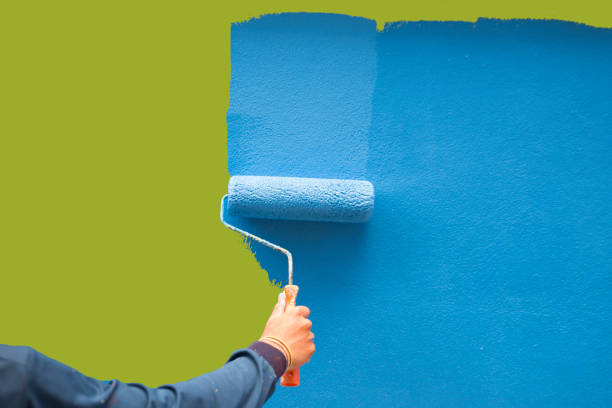 Environmental Consulting for Mold Prevention in Congress, AZ